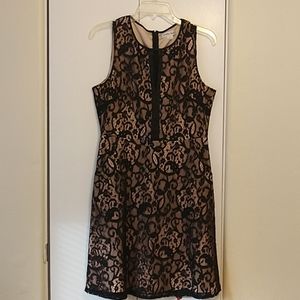 Wendy Bird Black Lace Beige Liner Cocktail Dress